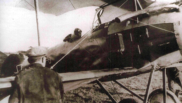 Вид сборку на истребитель Albatros D.II
