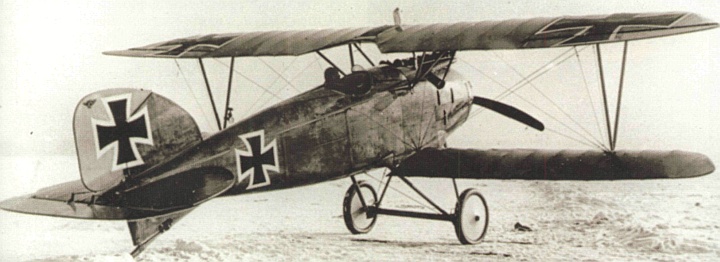 Альбатросы модификации D-III находились на фронтах Первой мировой до самого последнего дня