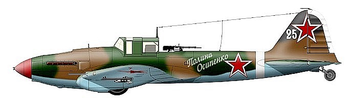 Самолёт Ил-2 "Полина Осипенко" из состава 108-го ГвШАП. 1944 год